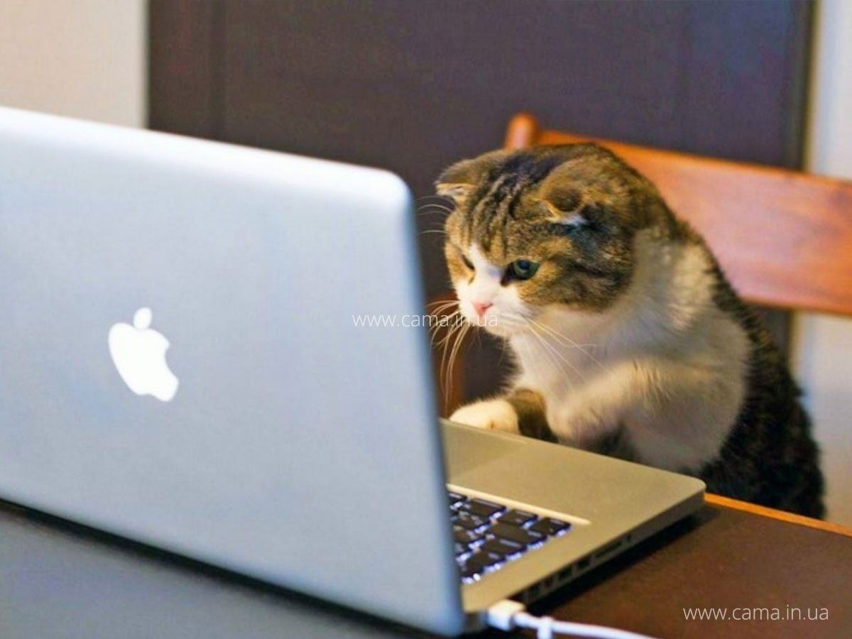 Принимаем заказы